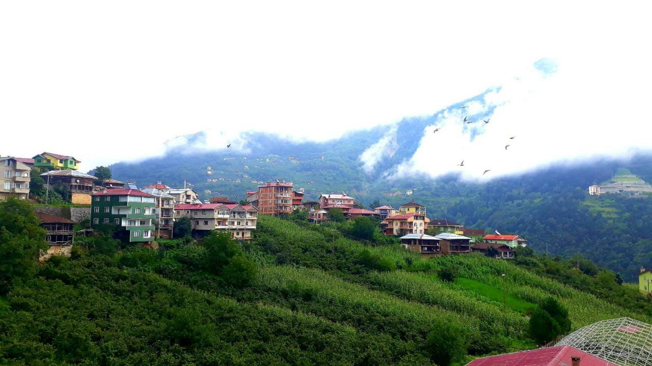Erdem Apart Otel Trabzon Eksteriør billede